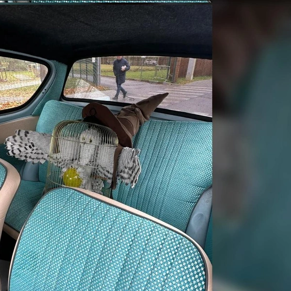 Источник: «Авто.ру»