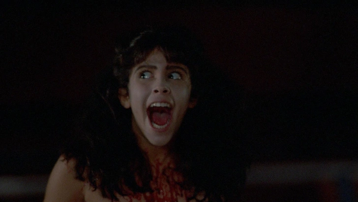 Источник: Кадр из фильма «Спящий лагерь» (Sleepaway Camp), 1983 г.