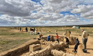 Археологи обнаружили вторую по величине римскую маслобойню в Римской империи