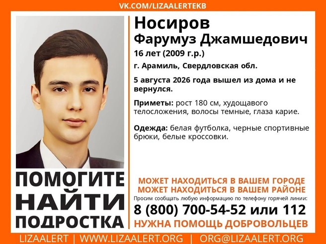 Источник: «ЛизаАлерт»