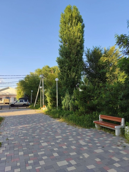 Источник: Вячеслав Кузьменко