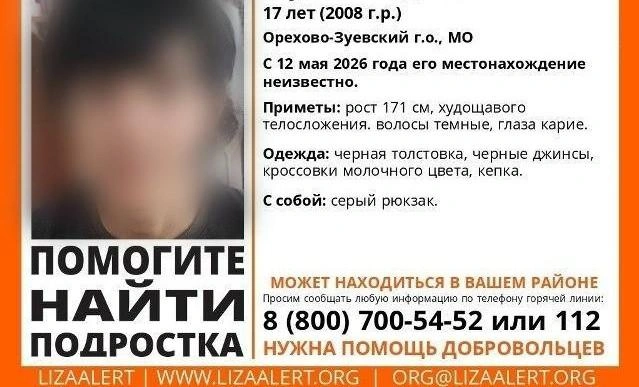 Ориентировка на пропавшего ребенка | Источник: lizaalert.org