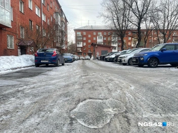 С мусором в Кемерове тоже проблемы нечастые  | Источник: Лера Городецкая / NGS42.RU
