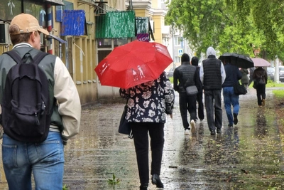 Когда в Алтае спадет жара: уточненный прогноз на август