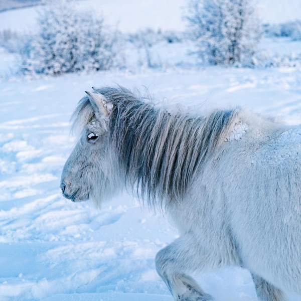 Источник: Павел Матвеев / Vk.com