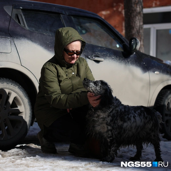 Но всё равно погладят | Источник: Евгений Софийчук / NGS55.RU