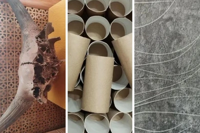 Ancient bison skull for sale in Yugra: exploring other strange items locals trade