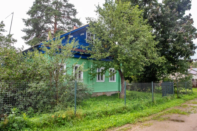 Для российских условий подходят сорта «Махорка», «Вирджиния», «Трапезонд», «Самсун» | Источник: Кирилл Поверинов / 76.RU