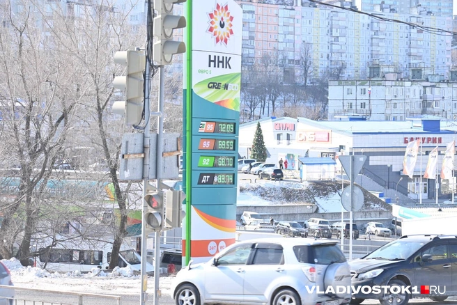 Источник: елена Буйвол / VLADIVOSTOK1.RU