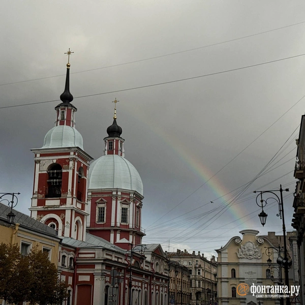 Источник: Анастасия Барашкова / «Фонтанка.ру»
