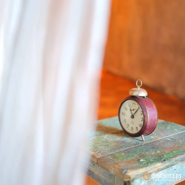 Источник: Дарья Драй / FONTANKA.RU