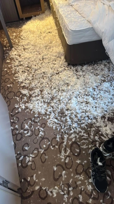 Источник: Сергей Пенкин / Telegram