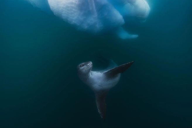 Источник: Scott Portelli / Travel Photographer of the Year 2024