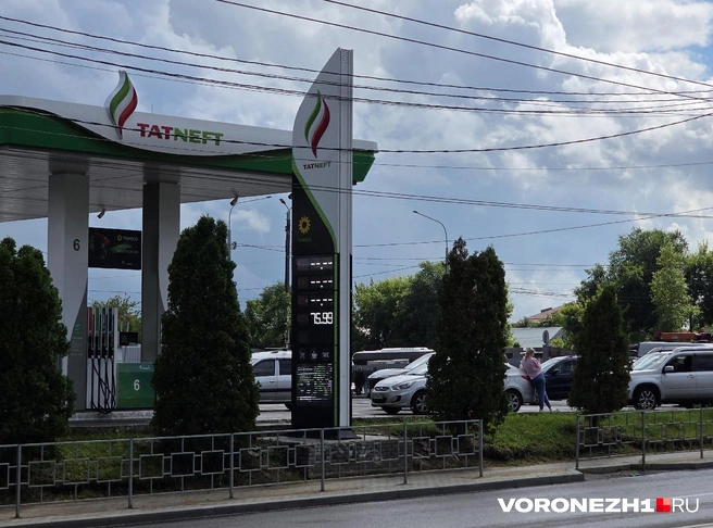 Источник: читательница Voronezh1.ru
