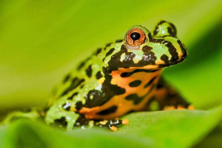 Источник: NERYXCOM/Shutterstock/Fotodom.ru