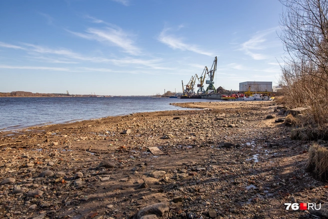 Вода отступила от берегов на несколько метров | Источник: Кирилл Поверинов / 76.RU