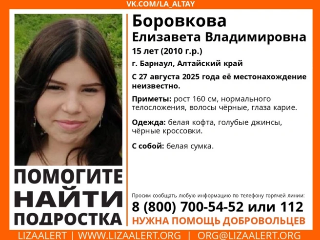 В Барнауле продолжаются поиски 15-летней девушки | Источник: Поисково-спасательный отряд «Лиза Алерт»