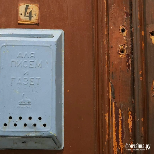 Источник: Дарья Драй / «Фонтанка.ру»