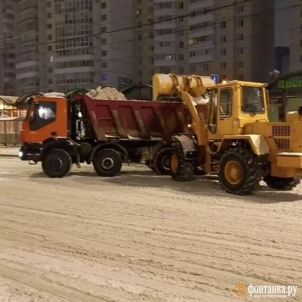 Источник: Комитет по благоустройству