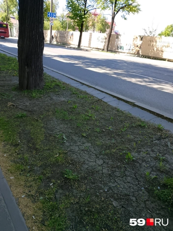 Трава с прошлого лета здесь так и не выросла  | Источник: читатель 59.RU