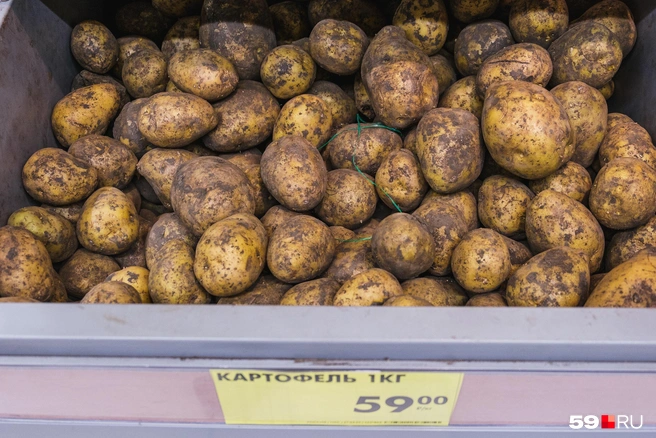 Согласитесь, вполне приличный картофель | Источник: Тимофей Калмаков / 59.RU