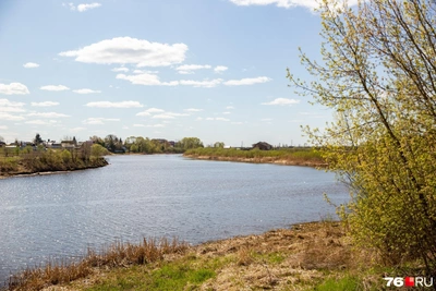 Аномальное потепление ожидается в Центральной России