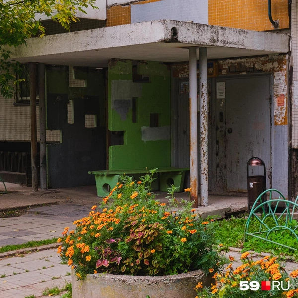 У подъезда разбили клумбы  | Источник:  Тимофей Калмаков / 59.RU 