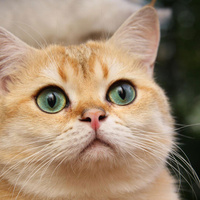 Аватарка Мари003