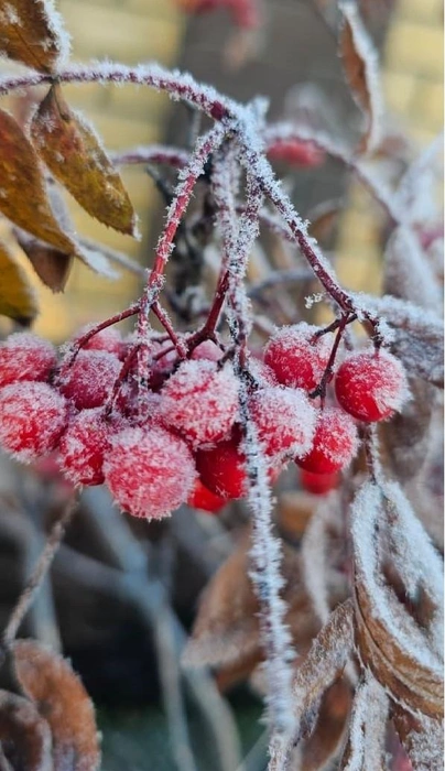 Источник: Мария Решетникова