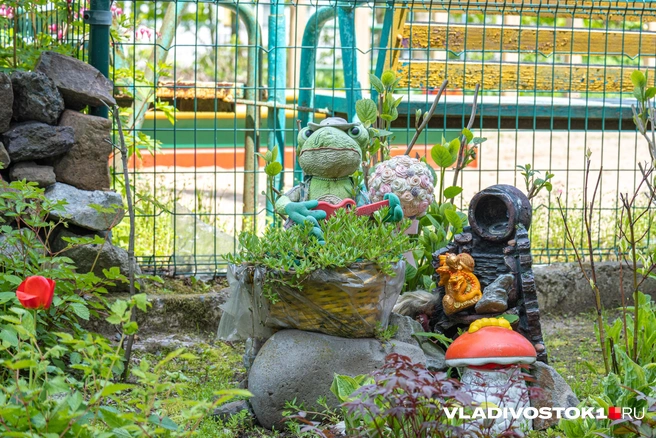 Источник: Елена Буйвол / VLADIVOSTOK1.RU