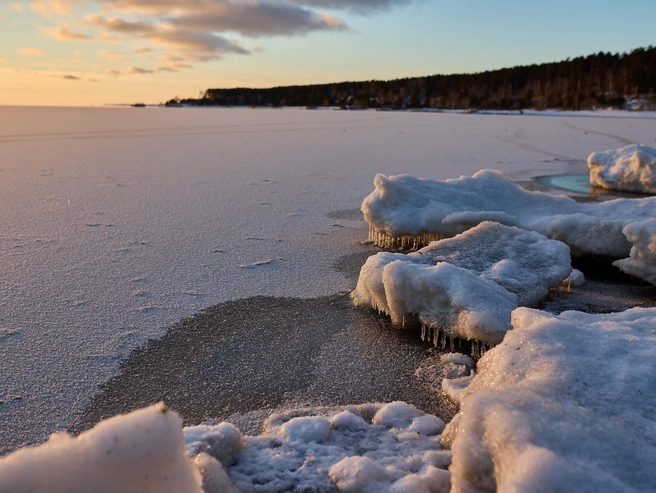 Источник: Александр Ощепков / NGS.RU