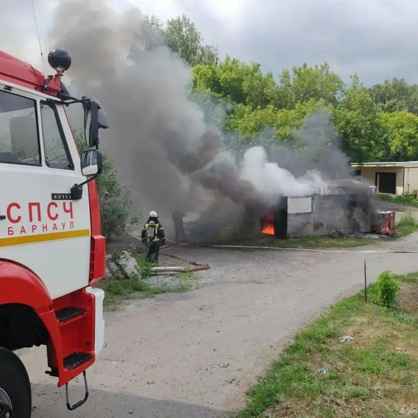 Источник: МЧС России по Алтайскому краю 