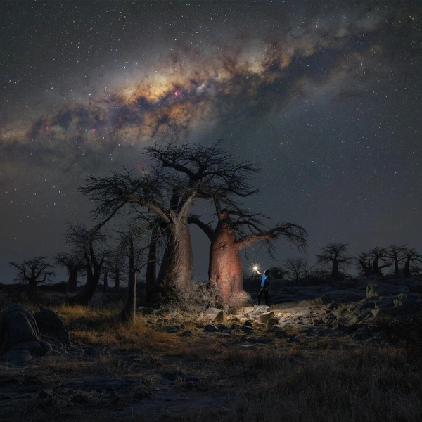 Источник: Stefano Pellegrini / Milky Way Photographer of the Year 2026