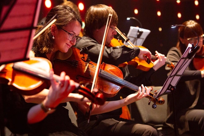 От профессионального объемного звучания захватывает дух | Источник: ООО&nbsp;«Горизонт Арт»