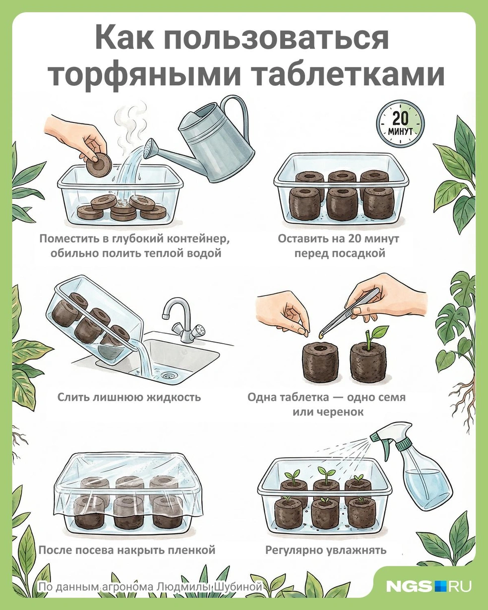 Источник: Юрий Орлов / Городские медиа