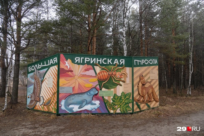 Симпатично и информативно | Источник: Иван Митюшёв / 29.RU