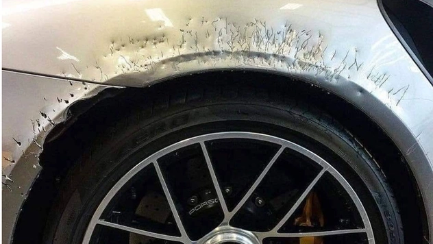 Собака лауреата «Грэмми» изуродовала его Porsche ценой $250 000
