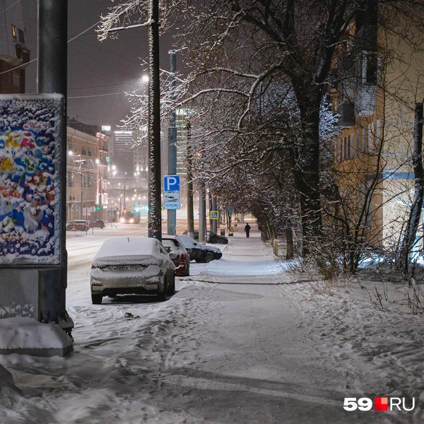 Сугробы окутали стволы деревьев | Источник: Тимофей Калмаков / 59.RU