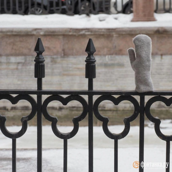 Источник: Михаил Огнев / FONTANKA.RU