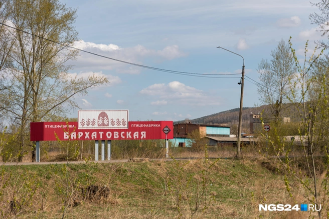 Смотря какой фабрик | Источник: Мария Ленц / NGS24.RU