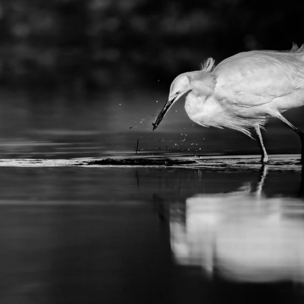 Источник: Rebecca Hall / Exposure One Awards 2025