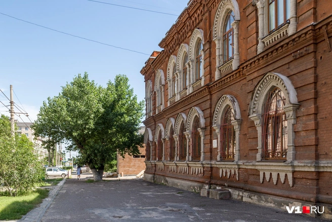 Шикарный тополь решили срубить полностью | Источник: Константин Завриков / V1.RU