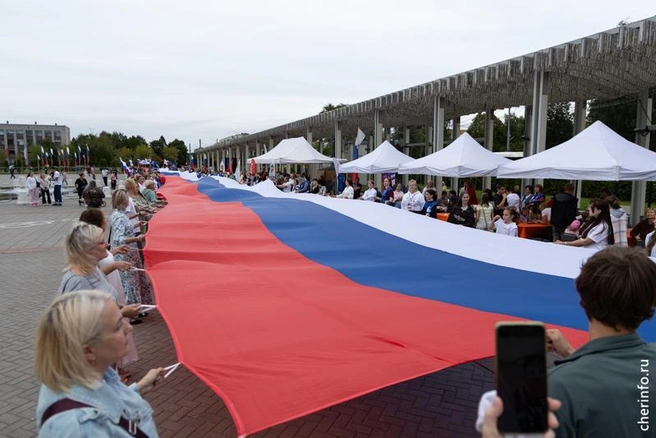Источник: st.cherinfo.ru