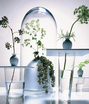 За стеклом: композиции из трав в прозрачных вазах