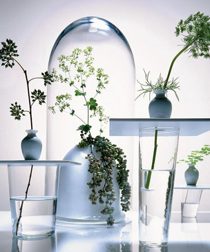 За стеклом: композиции из трав в прозрачных вазах
