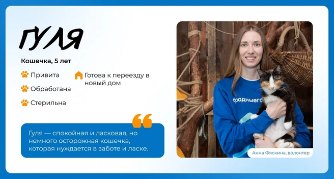 Источник: Василиса Молахова, Евгений Шаров