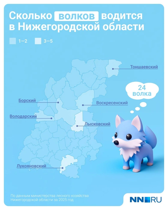 Количество волков осталось прежним | Источник: Евгения Бикунова / Городские медиа