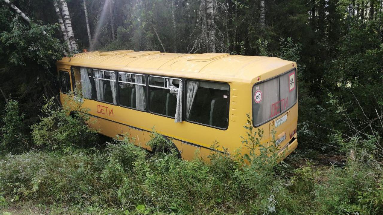 Следователи возбудили уголовное дело после ДТП со школьным автобусом на  дороге Соликамск — Красновишерск - 20 августа 2023 - 59.ру