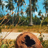 userpic__AlisaRi