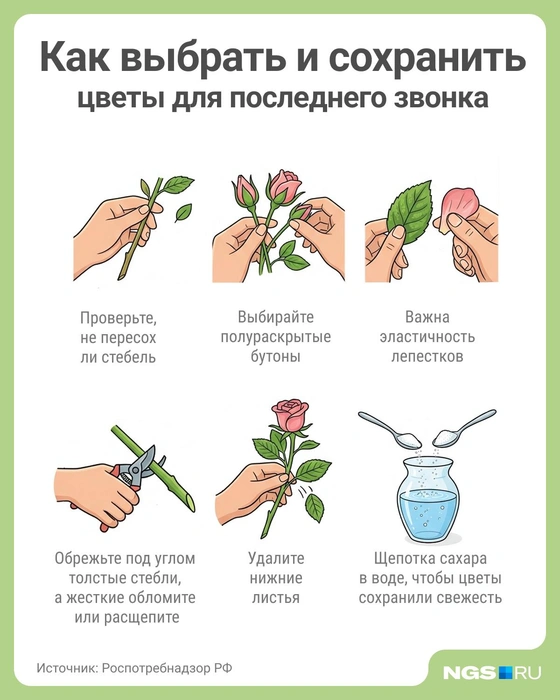 Можно растворить в воде сахар или специальное средство для сохранения свежести букетов | Источник: Юрий Орлов / Городские медиа